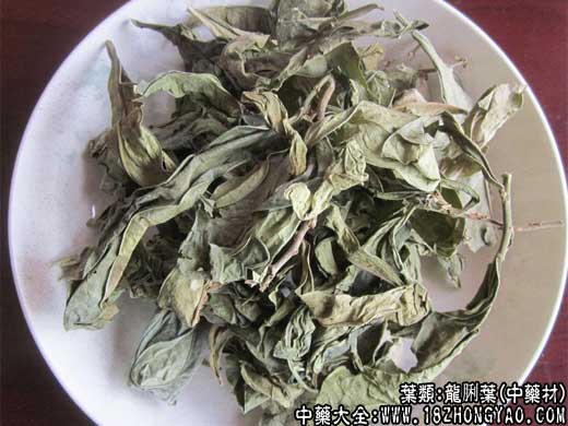 龙脷叶的功效与作用_龙脷叶的药用价值-古中药养生网
