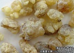 醒消丸适用的症状_醒消丸临床应用