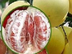 柚子图片_柚子的功效与作用、营养价值
