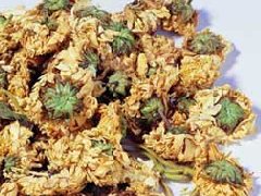菊花_菊花的功效作用
