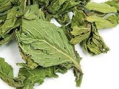 薄荷_薄荷的功效与作用  