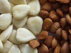 桃仁图片_桃仁的功效与作用