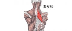 菱形肌紊乱综合征是什么症状和表现用中医来解释