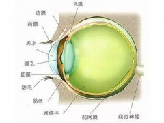 角膜炎是什么症状和表现用中医来解释
