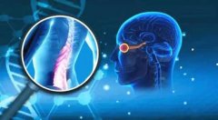 视神经炎是什么症状和表现用中医来解释