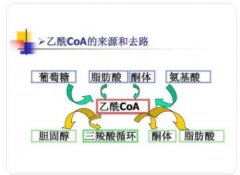 什么叫酮体?为什么酮体增多会发生酸中毒?