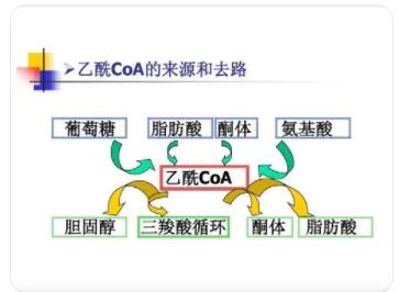 什么叫酮体?为什么酮体增多会发生酸中毒?