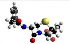 青霉素过敏反应是怎么发生的?如何预防?