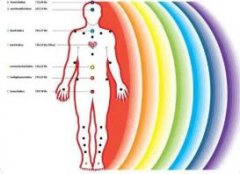 人体的热量是怎样产生和散发的?