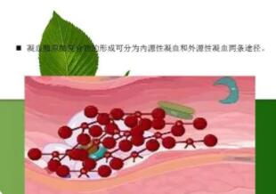 血液凝固是怎样发生的?