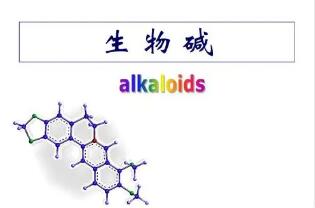 什么是生物碱和配糖体?