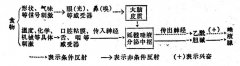 为什么得流行性腮腺炎的孩子,一吃酸东西就喊疼?