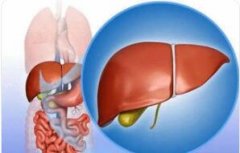 临床上肝功能检查的根据是什么?常用的肝功能检验有什么意义?