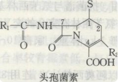 头孢菌素的功效与作用_头孢菌素图片