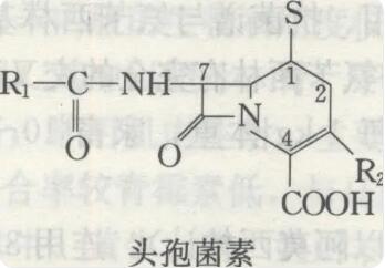 头孢菌素的功效与作用