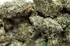 茵陈蒿汤适用的症状_茵陈蒿汤临床应用