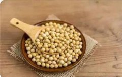 大豆的营养价值与食用功效何在?