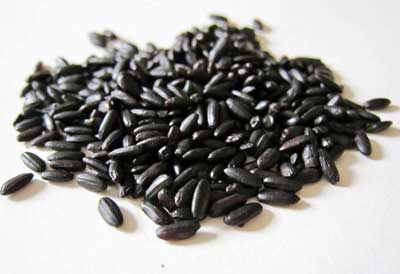 黑米的功效与作用_黑米的营养价值与相克相宜食物