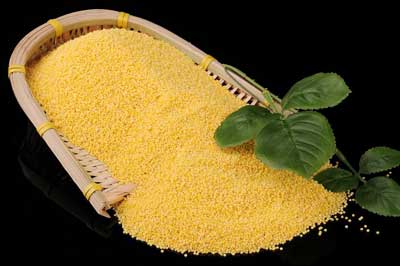 粟米的功效与作用_粟米的营养价值与相克相宜食物禁忌