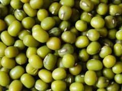 绿豆的功效与作用_绿豆的营养价值与相克相宜食物禁忌