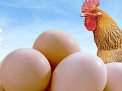 鸡蛋的营养价值_鸡蛋的功效与作用