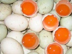 鸭蛋的营养价值_鸭蛋的功效与作用