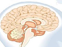 流行性脑脊髓膜炎(流脑)的症状临床表现_中医流脑怎么办治疗