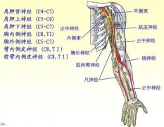 前臂筋膜间隔综合征是什么症状和表现用中医来解释