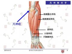 尺侧腕伸肌肌腱滑脱是什么症状和表现用中医来解释