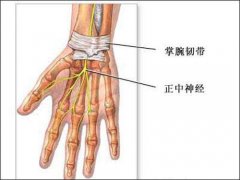 腕尺侧管综合征是什么症状和表现用中医来解释