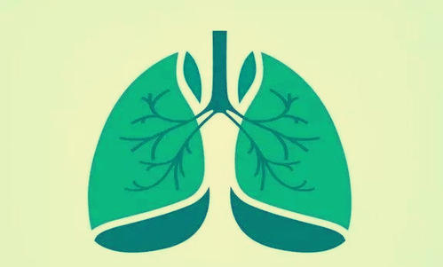 肺结核是什么症状和表现用中医来解释