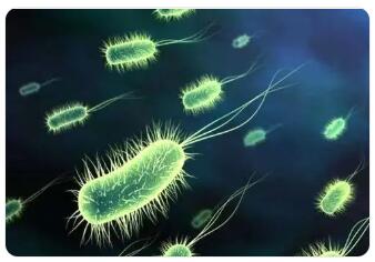皮肤、粘膜为什么能防御细菌侵入?