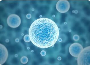 什么是体液免疫?什么是细胞免疫?
