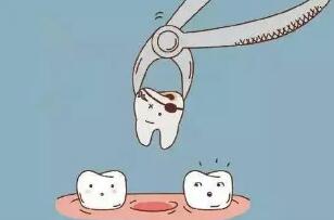 牙是怎样构成的?