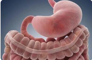 食物在胃内发生哪些变化后才进人小肠?