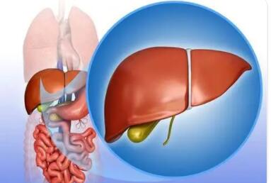 对于血氨增高引起肝昏迷的防治措施有哪些?