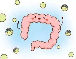肠道菌群失调是怎么产生的?对人体有什么影响?
