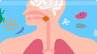 呼吸道粘膜具有哪些免疫功能?