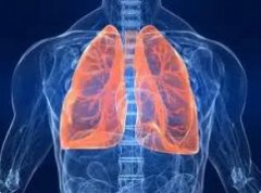 肺是怎样靠呼吸运动与外界换气的?