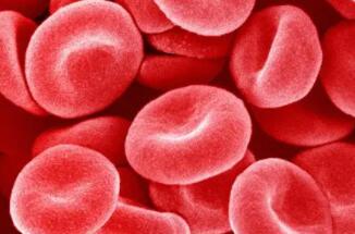 红细胞是怎样运输氧的?