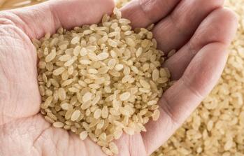 小麦胚芽的功效与作用
