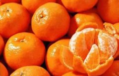 橘子的功效与作用_橘子图片