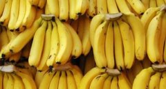 香蕉的功效与作用_香蕉图片