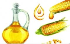 玉米油的功效与作用_玉米油图片