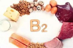 维生素B2的功效与作用_维生素B2的服用宜忌