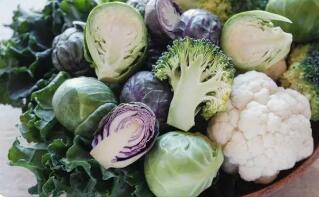 吃蔬菜会引起疾病吗?