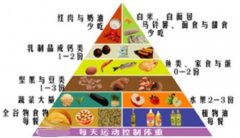 什么是“4+1”膳食结构金字塔?