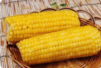 玉米的营养价值与食用功效何在?
