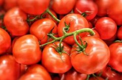 番茄的营养价值与番茄保健功能何在?