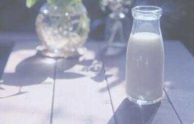 牛奶的功效与作用是什么?